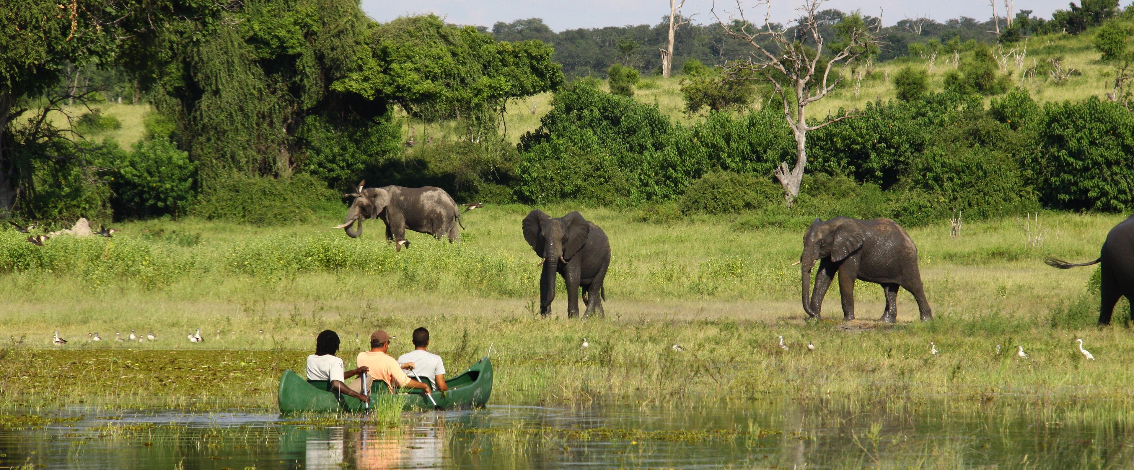 Chobe River Camp thumbnail 4